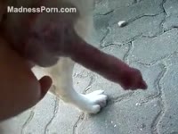 Hard dog dick pounding a beastiality lover
